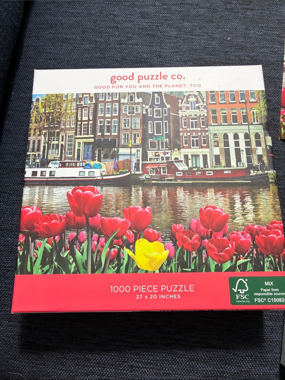 Good Puzzle Co. 1000-Piece Tulip Canal Puzzle - Red & Yellow